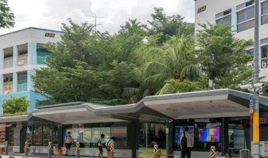 KB体育官网APP怪不得新加坡素有城市花园美誉绿化率高达70%巴士站顶都被“绿化(图1)