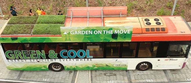 KB体育官网APP怪不得新加坡素有城市花园美誉绿化率高达70%巴士站顶都被“绿化(图9)