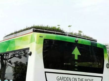 KB体育官网APP怪不得新加坡素有城市花园美誉绿化率高达70%巴士站顶都被“绿化(图7)