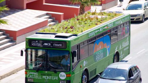 KB体育官网APP怪不得新加坡素有城市花园美誉绿化率高达70%巴士站顶都被“绿化(图8)