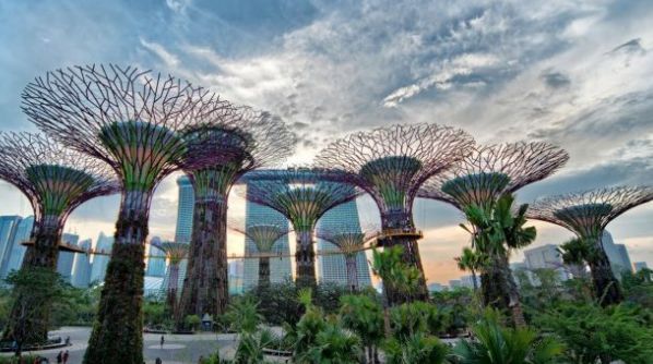 KB体育官网APP怪不得新加坡素有城市花园美誉绿化率高达70%巴士站顶都被“绿化(图13)