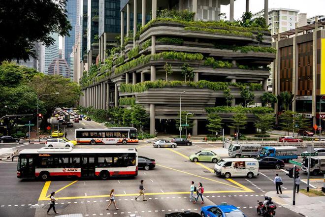 KB体育官网APP怪不得新加坡素有城市花园美誉绿化率高达70%巴士站顶都被“绿化(图16)