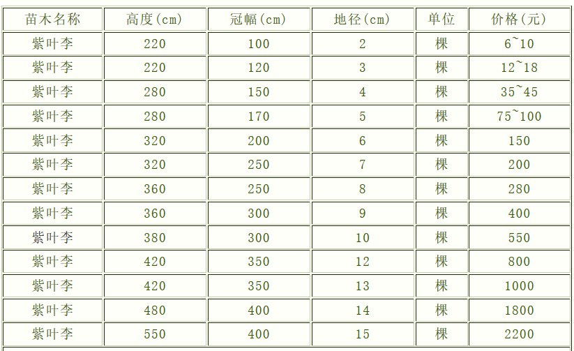 KB体育官网APP紫叶李价格表-2016年新编(图2)