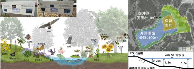 kb体育官网app下载风景园林与旅游类 2019北京世园会自然生态展示区园林景观(图5)