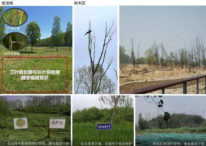 kb体育官网app下载风景园林与旅游类 2019北京世园会自然生态展示区园林景观(图6)