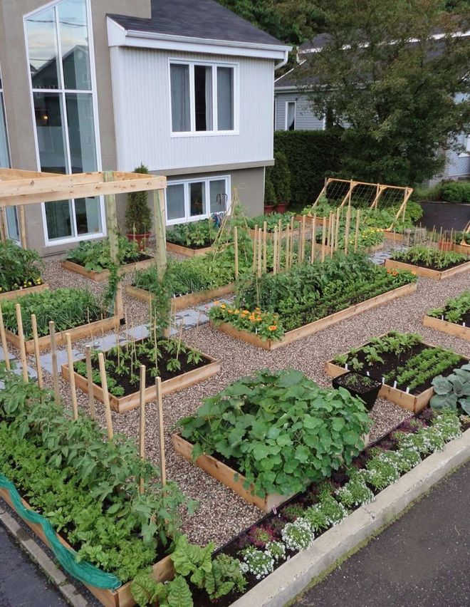 kb体育官网app下载玩转庭院：家里有院子的话可以建一个实用又好看的“菜园子”(图3)