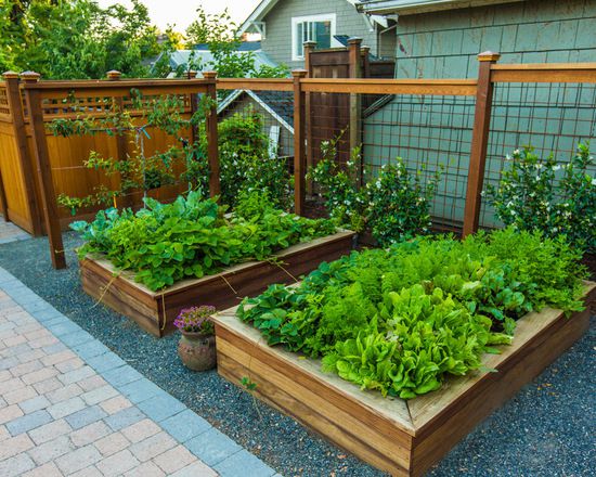 kb体育官网app下载玩转庭院：家里有院子的话可以建一个实用又好看的“菜园子”(图5)